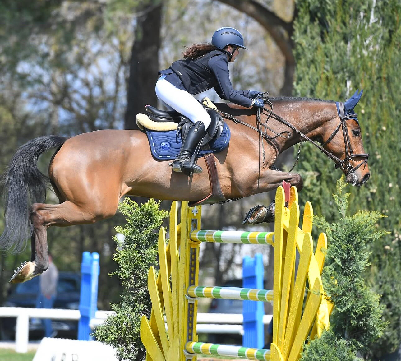 Arezzo salto ostacoli