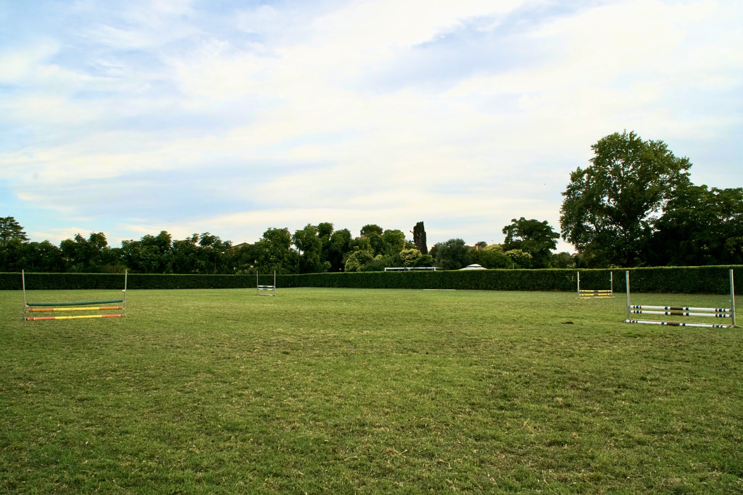 campo erba circolo ippico il fondo