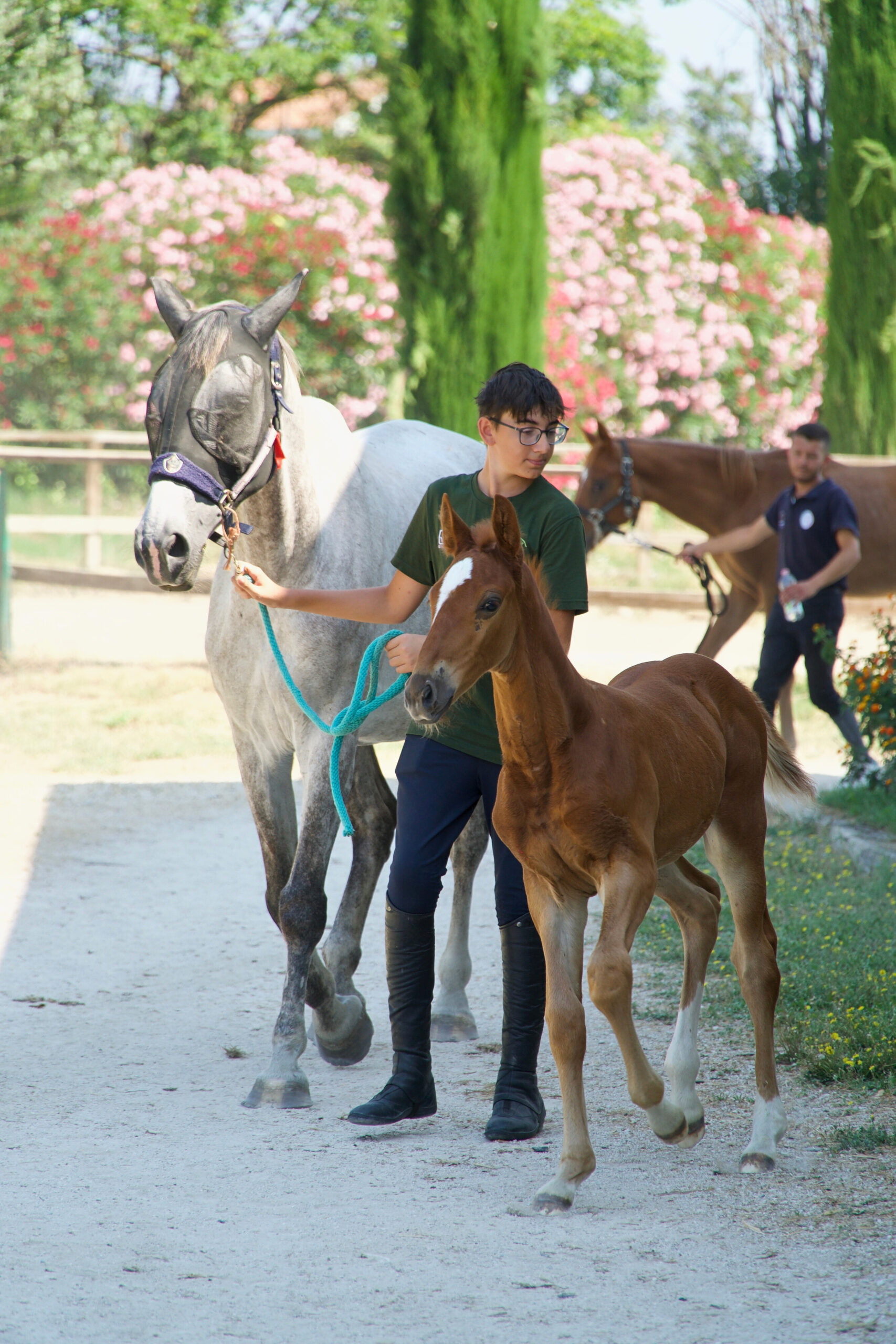 scuola di equitazione