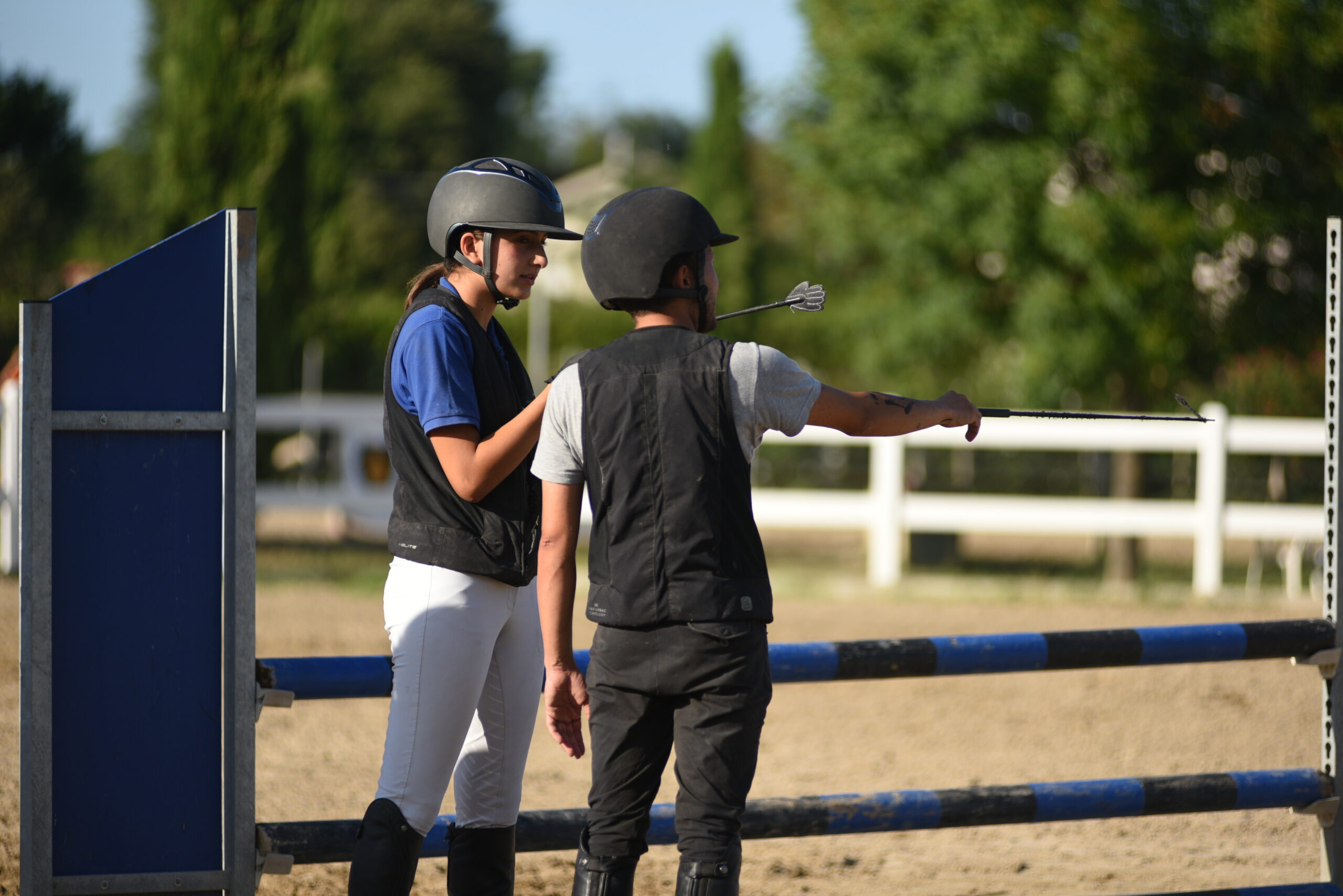 equitazione salto ostacoli