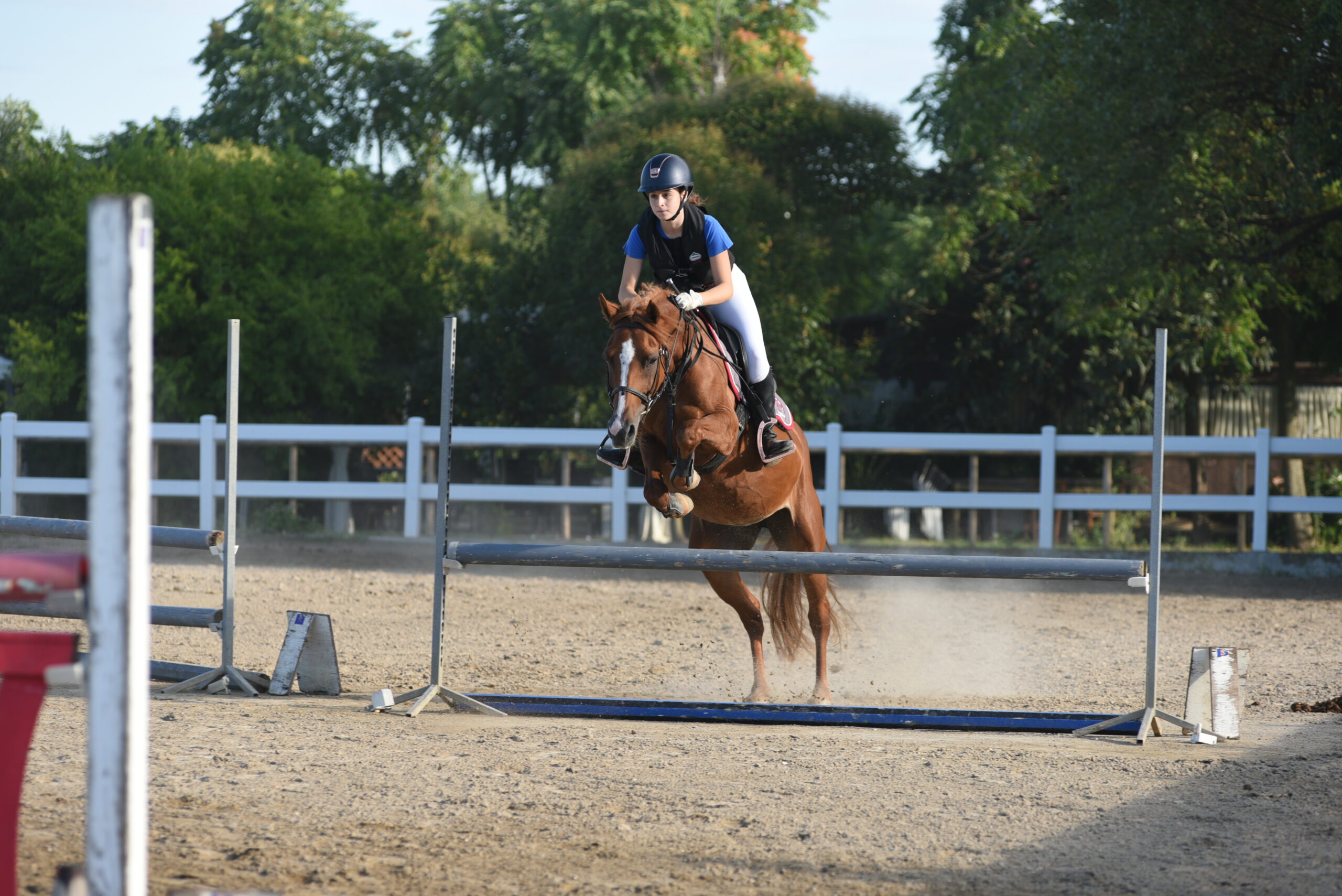 equitazione salto ostacoli