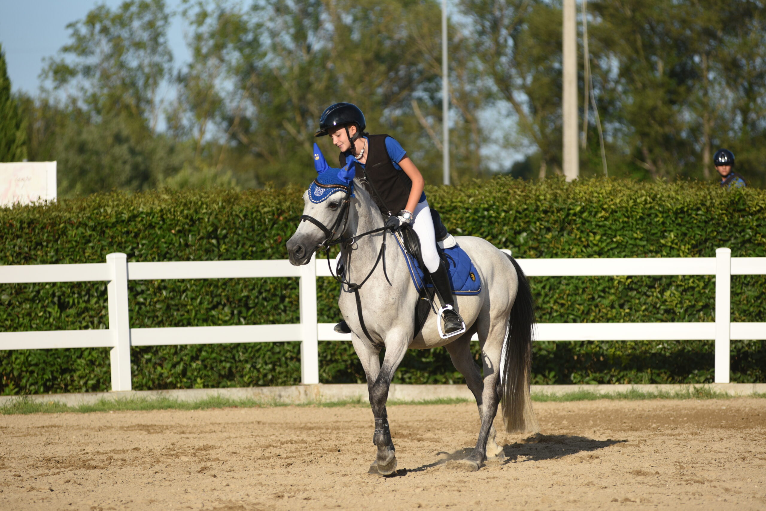equitazione salto ostacoli