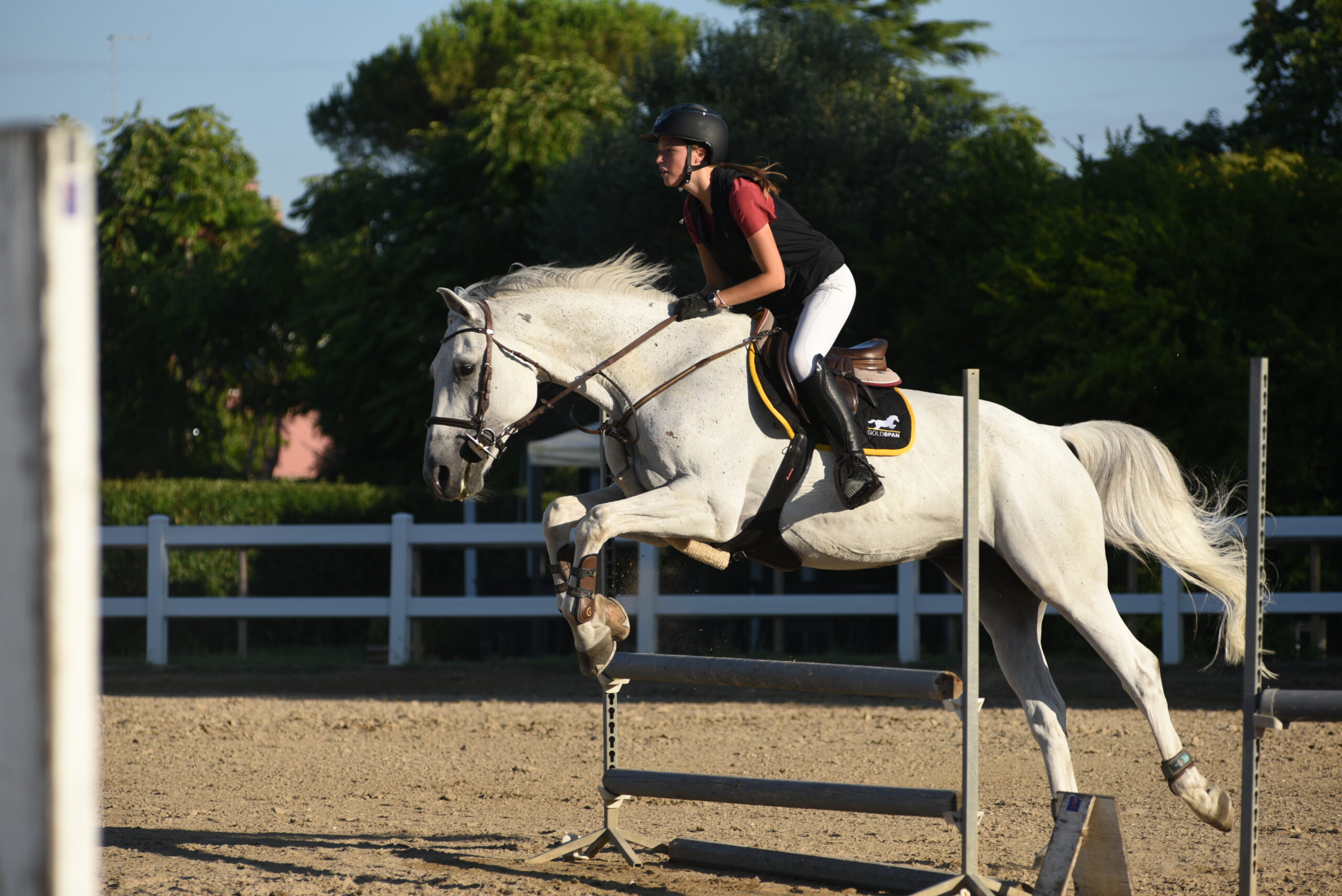 equitazione salto ostacoli