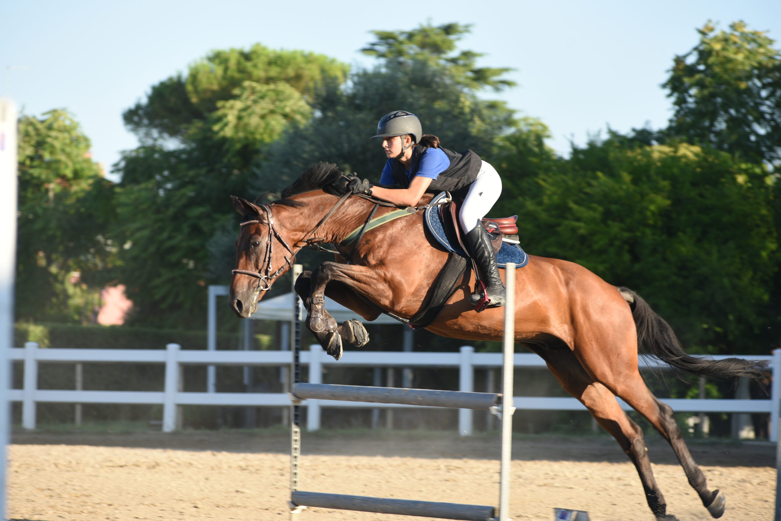equitazione salto ostacoli